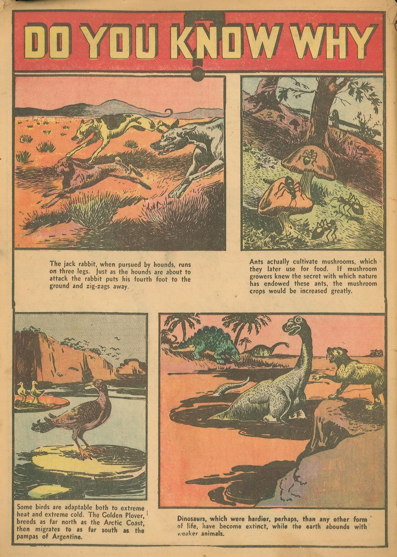 Read online Star Comics comic -  Issue #2 - 61