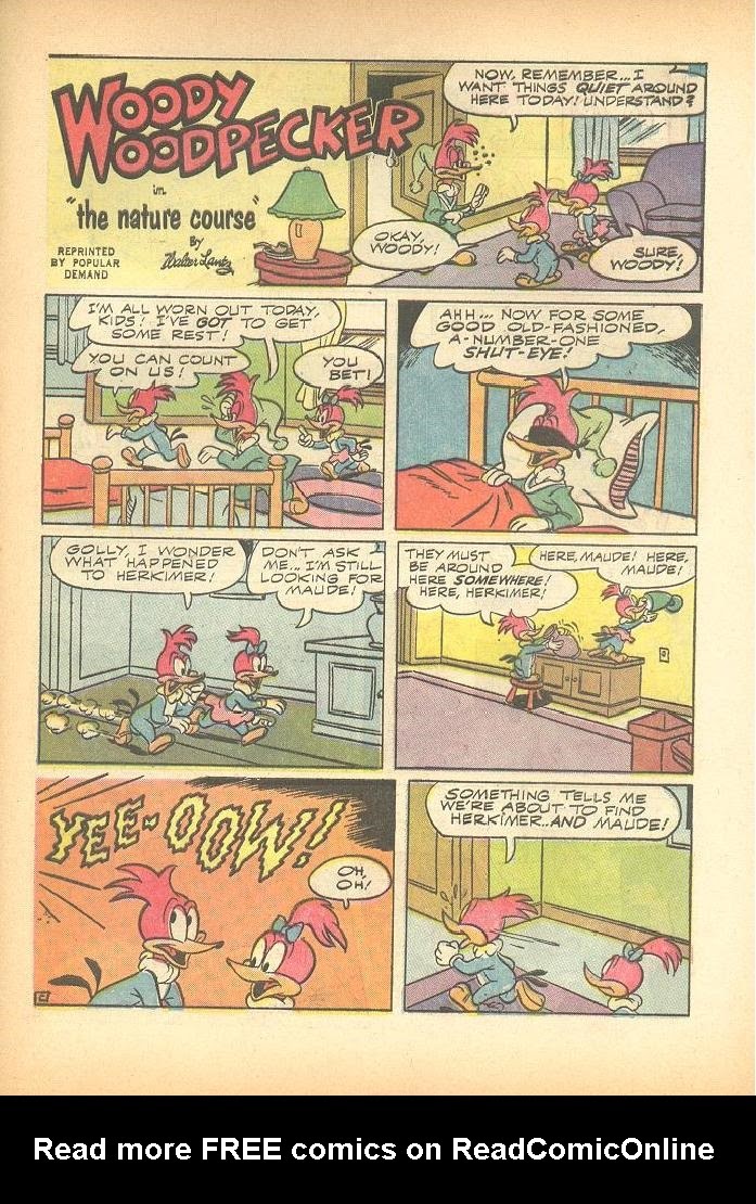 Read online Walter Lantz Woody Woodpecker (1962) comic -  Issue #84 - 29