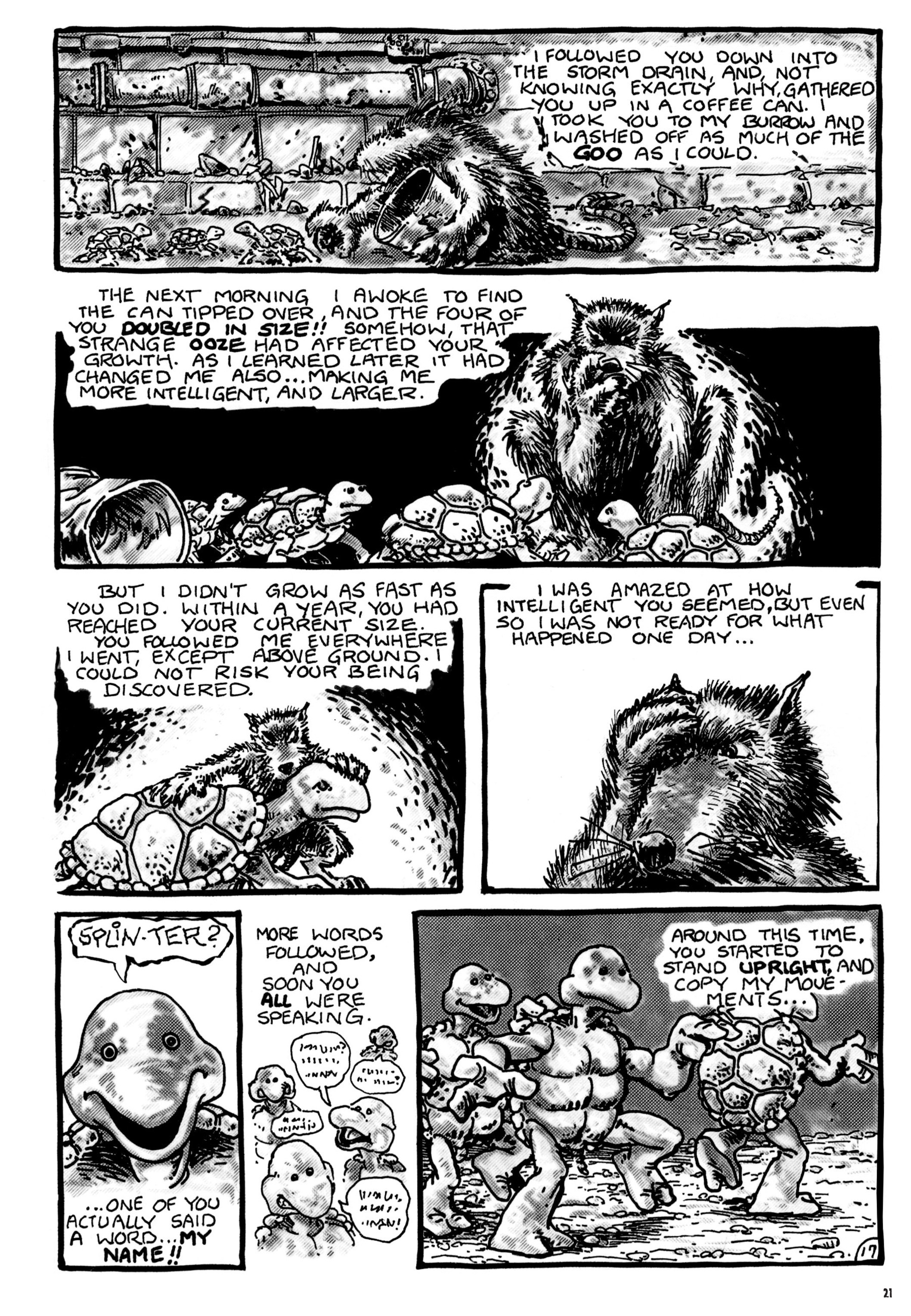 Read online Teenage Mutant Ninja Turtles: The Ultimate Collection comic -  Issue # TPB 1 (Part 1) - 21