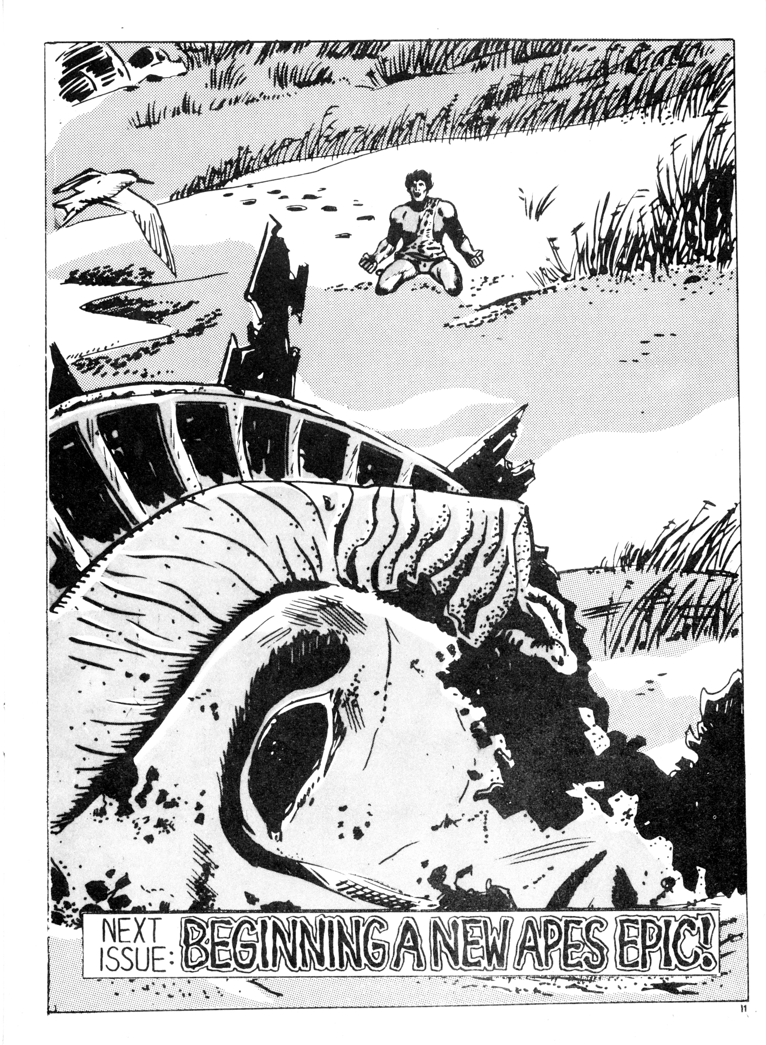 Read online Planet of the Apes (1974) comic -  Issue #11 - 11