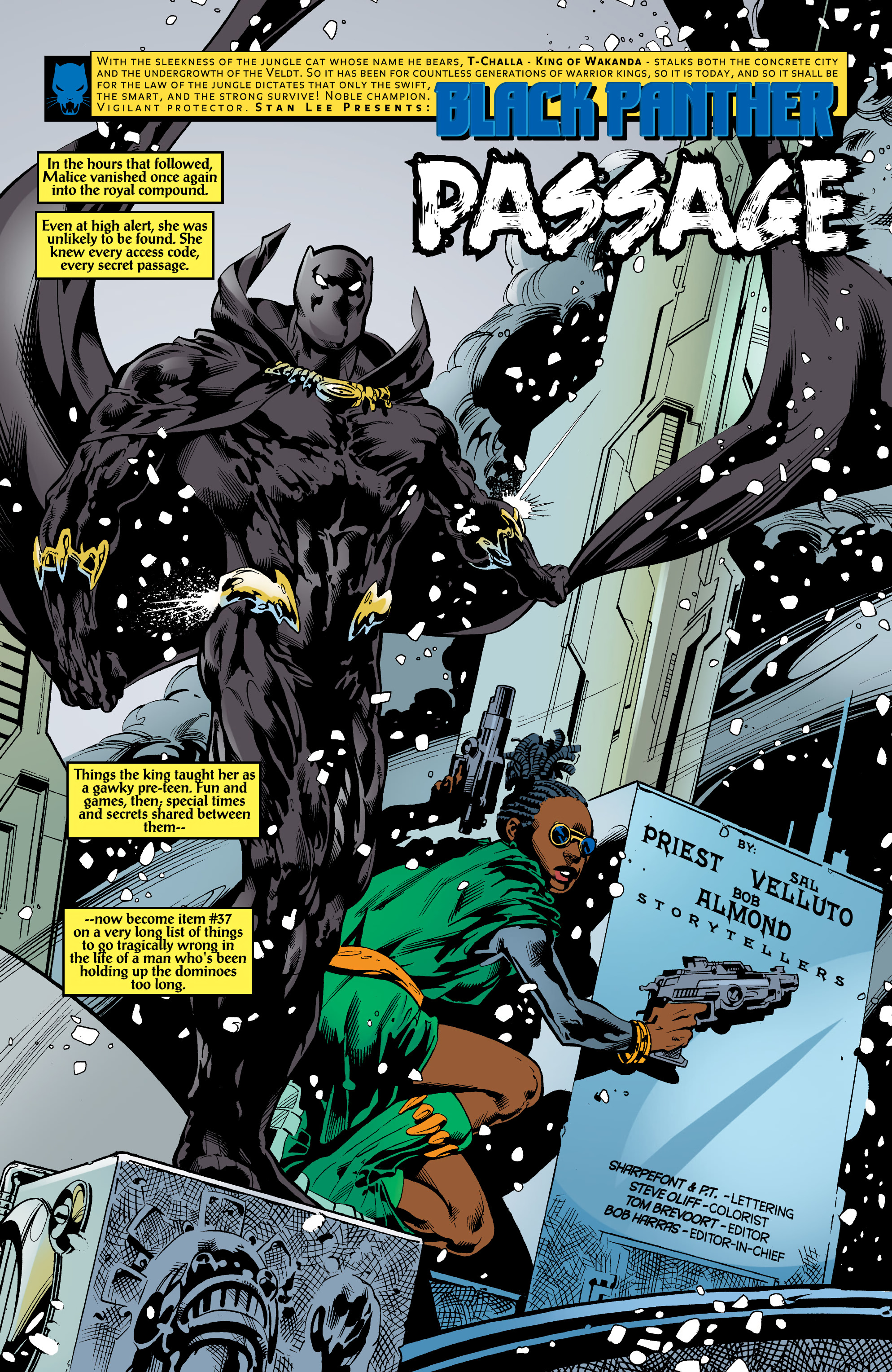 Read online Black Panther by Christopher Priest Omnibus comic -  Issue # TPB (Part 6) - 80
