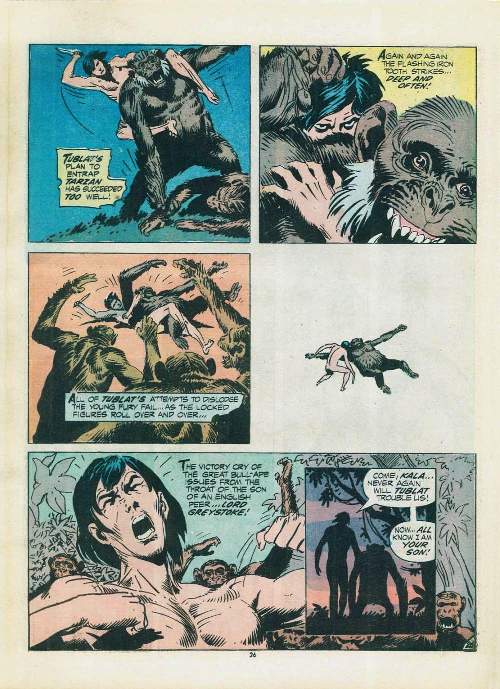 Read online Limited Collectors' Edition comic -  Issue #22 - 28