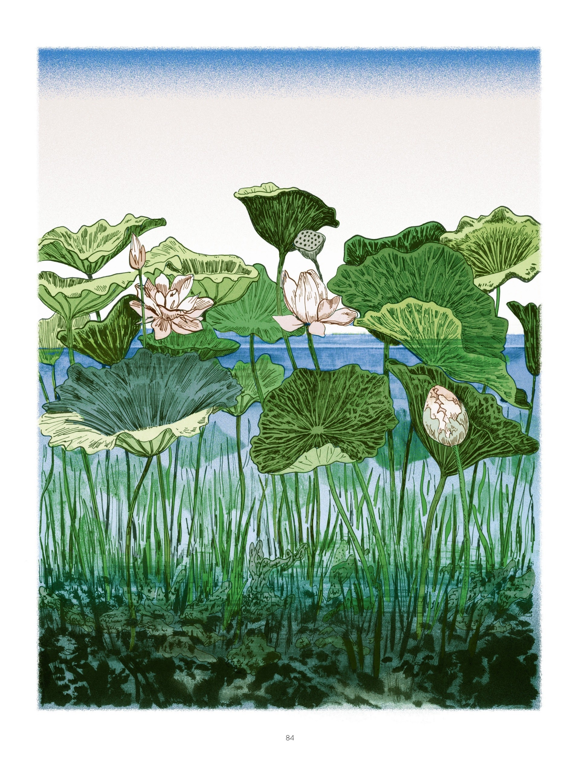 Read online The Young Woman and the Sea comic -  Issue # TPB - 84