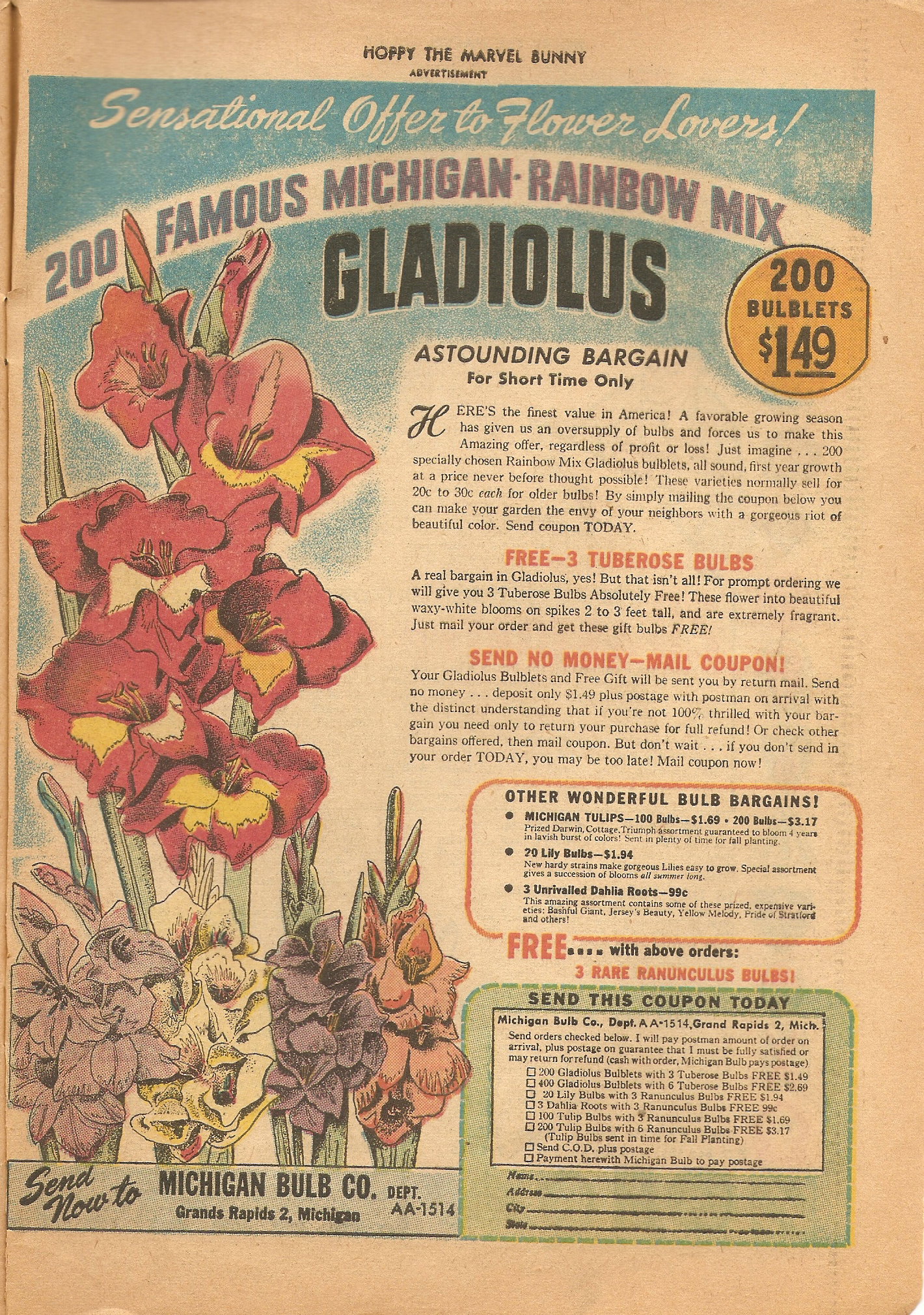 Read online Hoppy The Marvel Bunny comic -  Issue #9 - 49