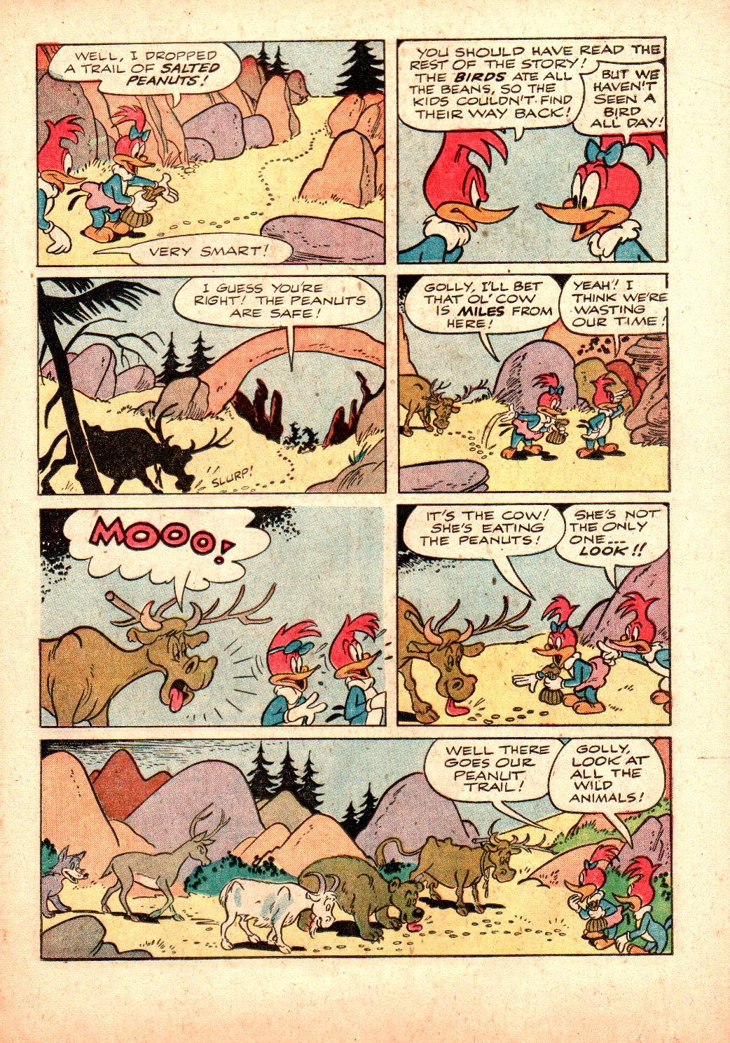 Read online Walter Lantz Woody Woodpecker (1952) comic -  Issue #24 - 19