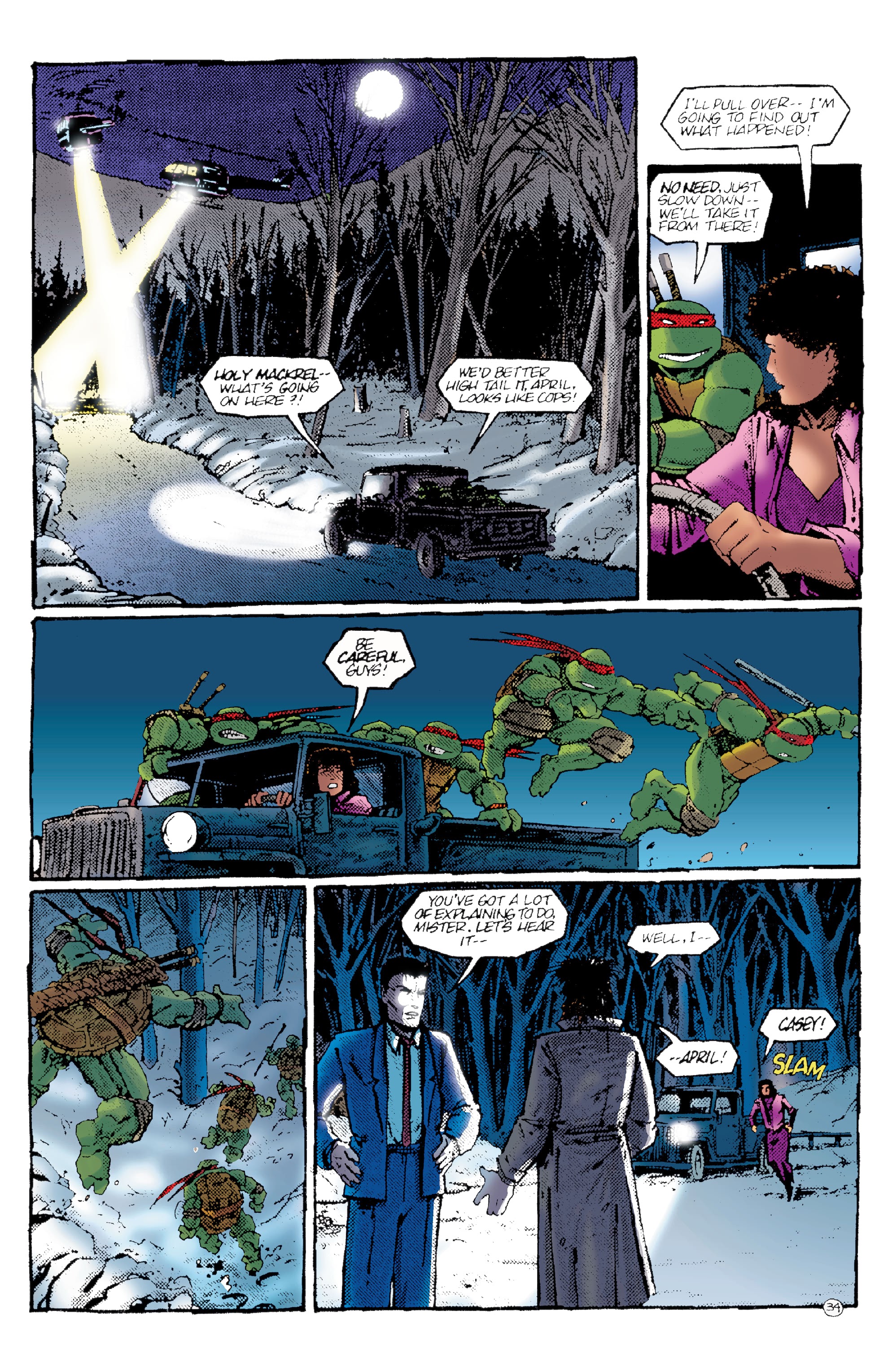 Read online Teenage Mutant Ninja Turtles: Best Of comic -  Issue # Casey Jones - 37