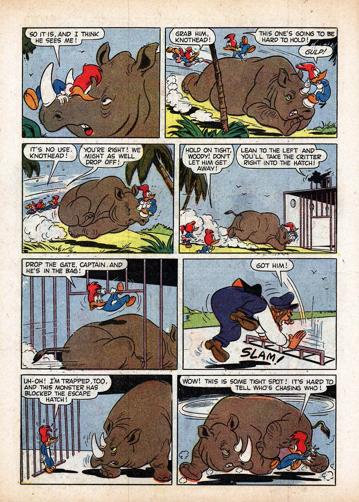 Read online Walter Lantz Woody Woodpecker (1952) comic -  Issue #52 - 14