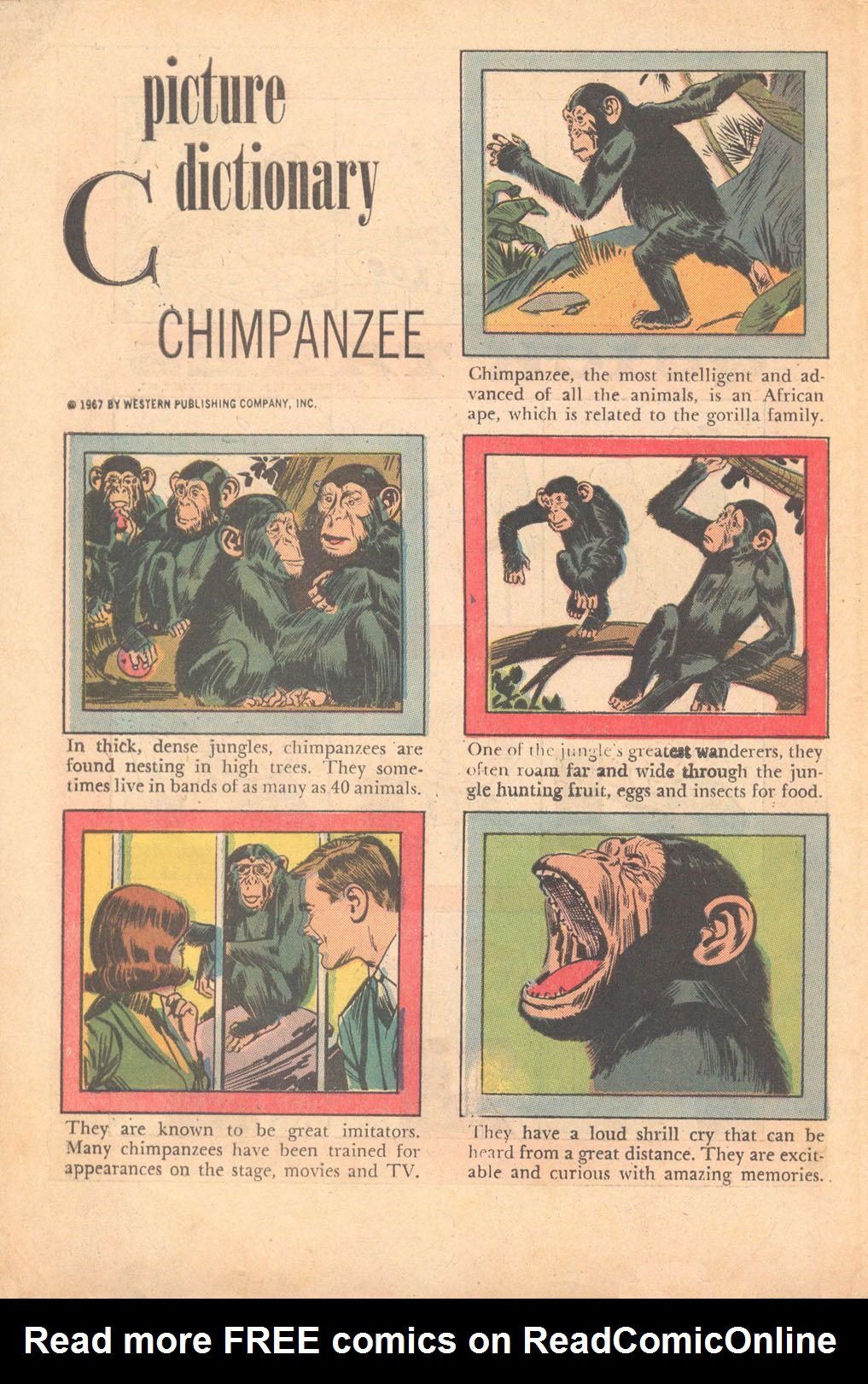 Read online Top Cat (1962) comic -  Issue #21 - 34