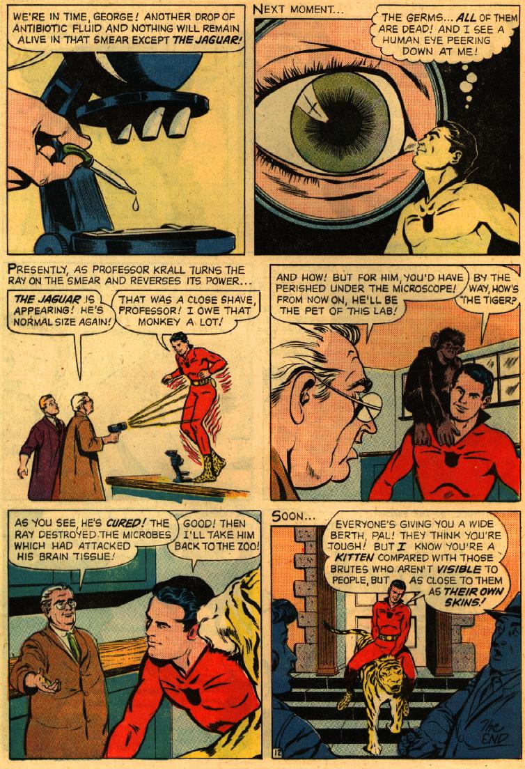 Read online Adventures of the Jaguar comic -  Issue #2 - 24