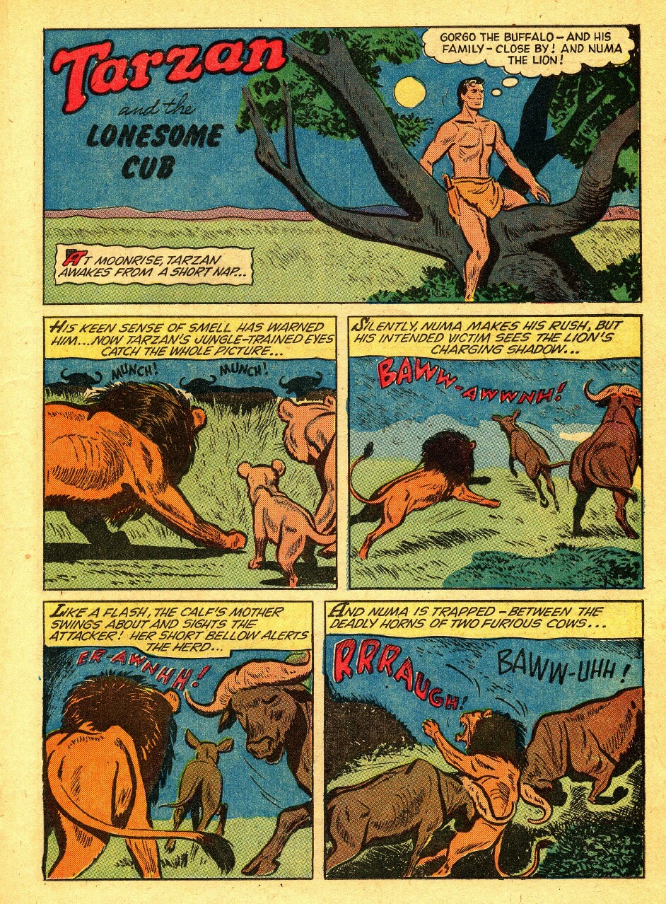 Read online Tarzan (1948) comic -  Issue #80 - 19