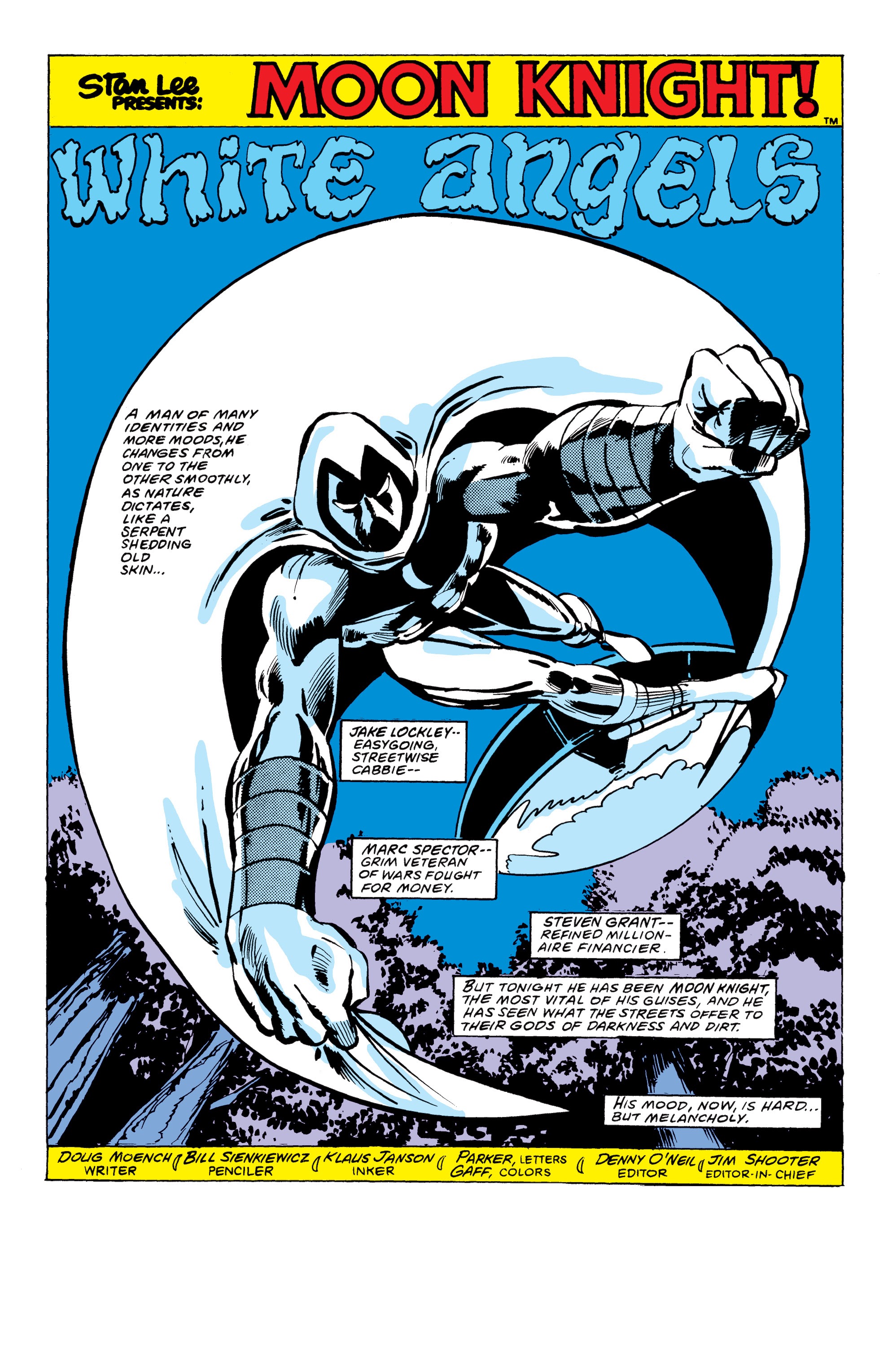 Read online Moon Knight Omnibus comic -  Issue # TPB 1 (Part 6) - 13