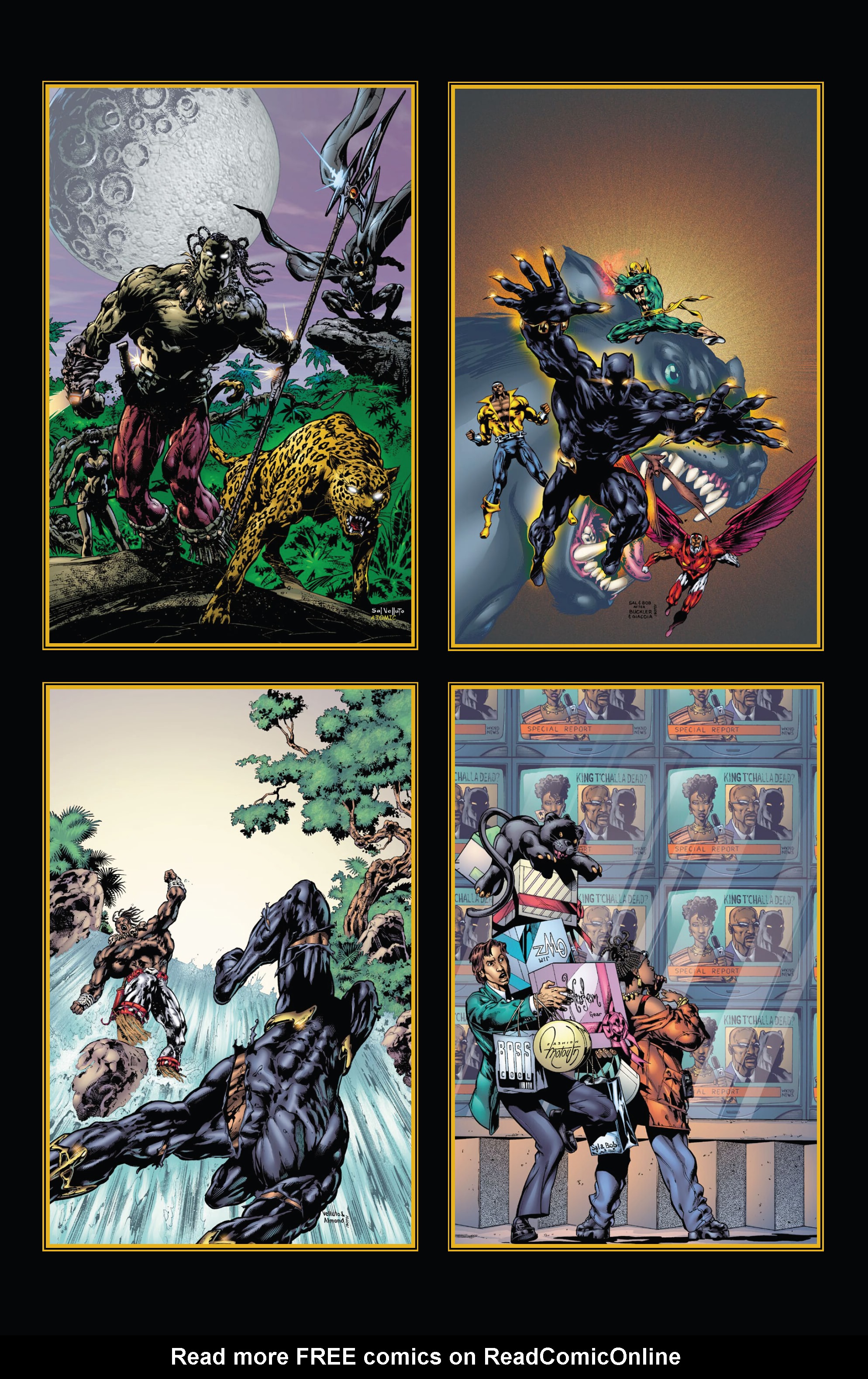 Read online Black Panther by Christopher Priest Omnibus comic -  Issue # TPB (Part 5) - 12