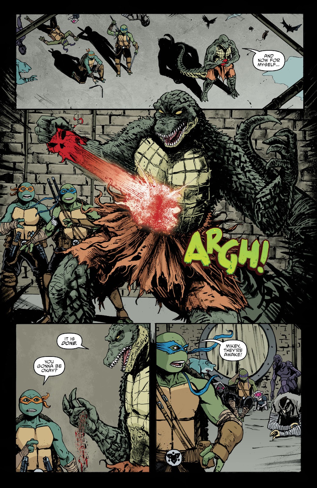Teenage Mutant Ninja Turtles (2011) issue 144 - Page 7