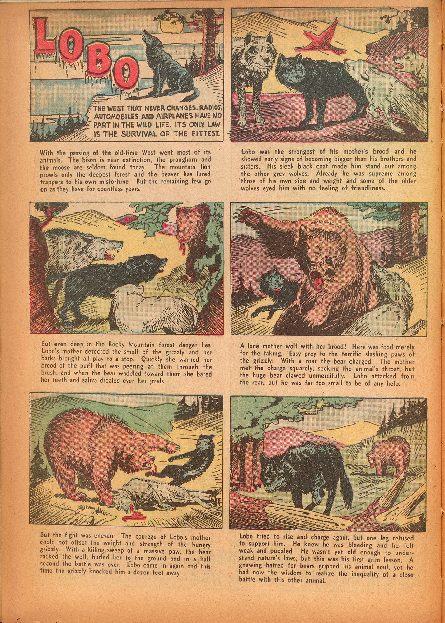 Read online Star Ranger comic -  Issue #1 - 20