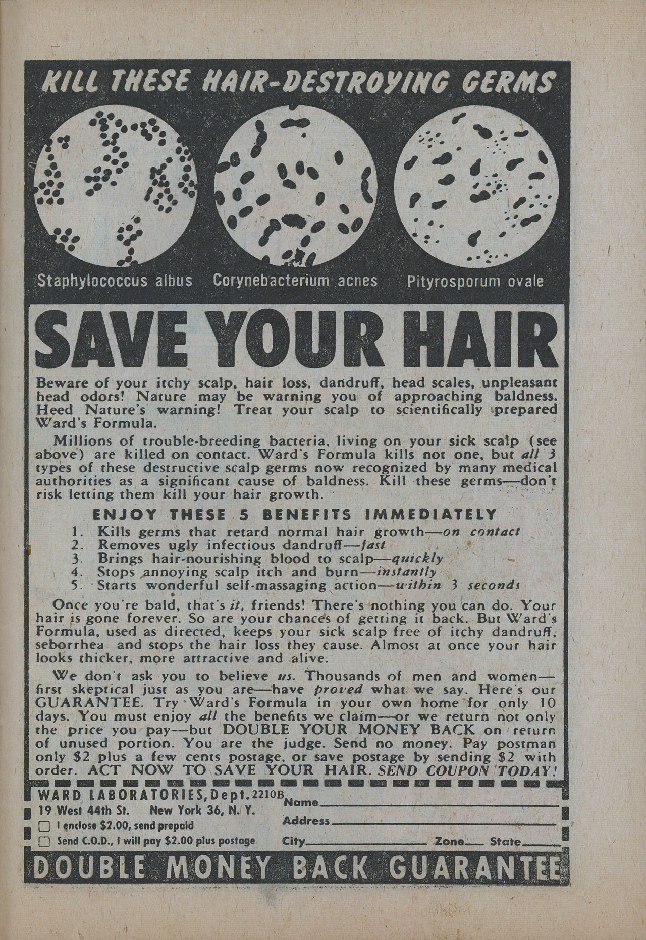 Read online Young Love (1949) comic -  Issue #68 - 29