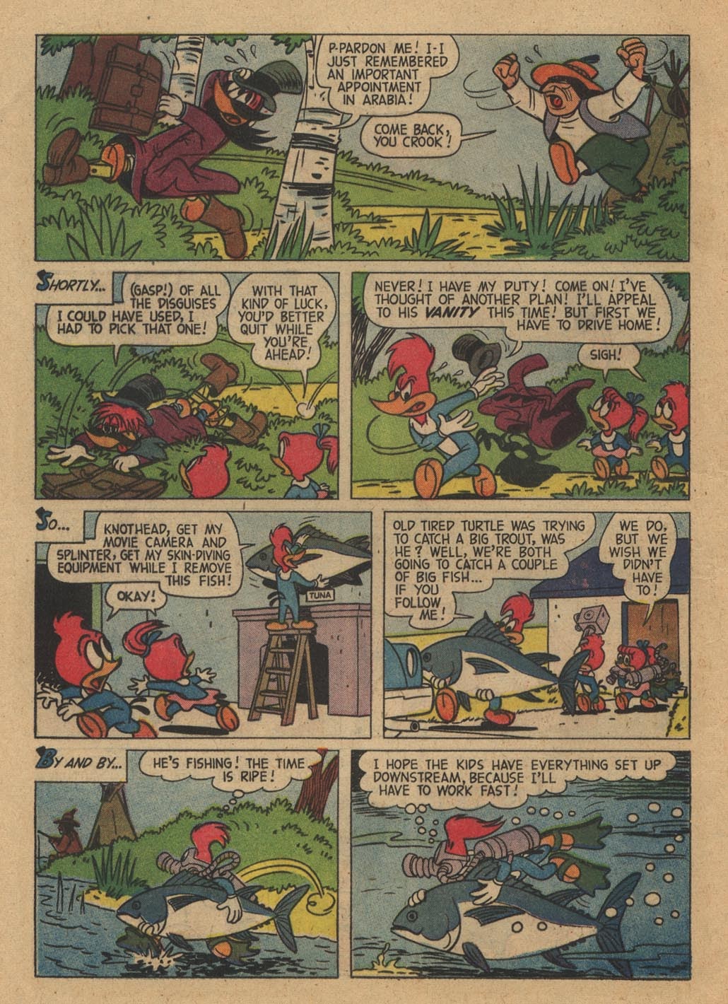 Read online Walter Lantz Woody Woodpecker (1952) comic -  Issue #55 - 12