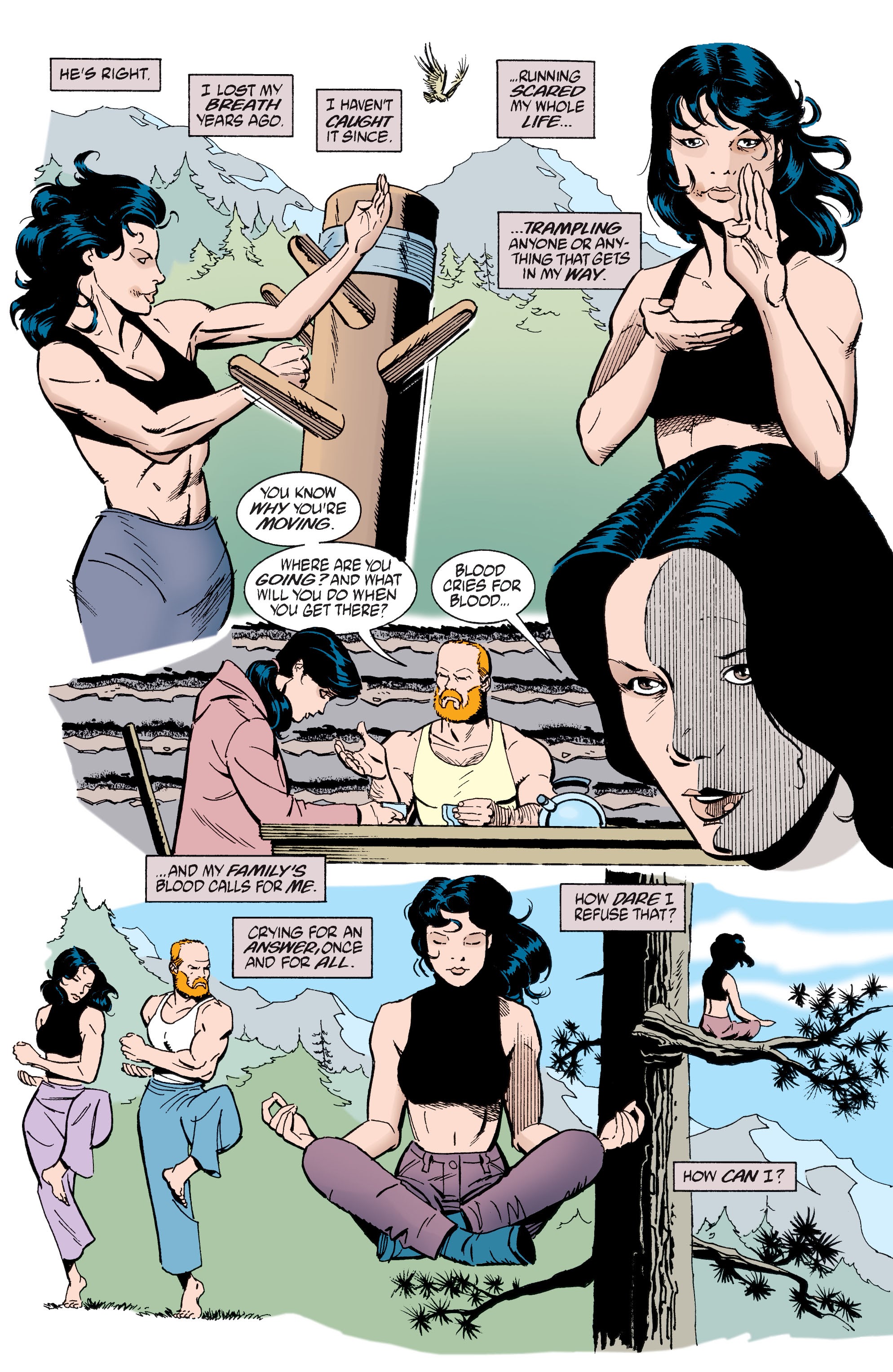 Read online Batman/Huntress: Cry for Blood comic -  Issue # _TPB Birds of Prey - Huntress - 68