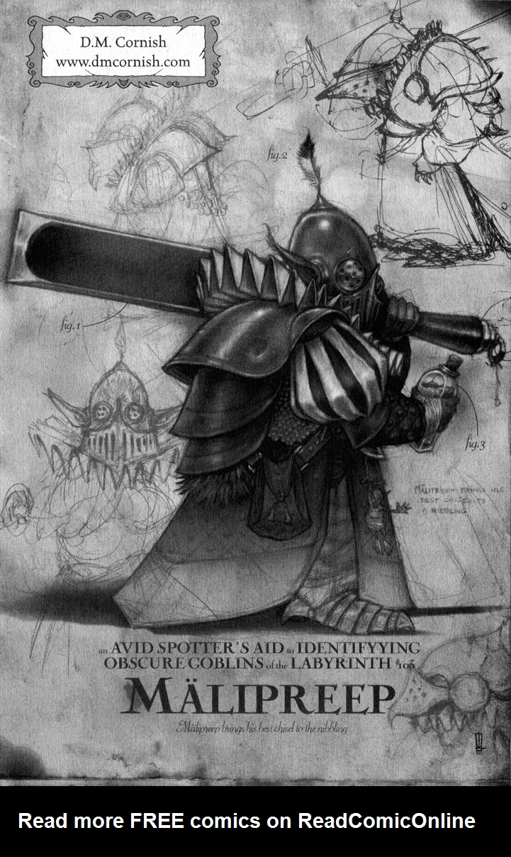 Read online Jim Henson's Return to Labyrinth comic -  Issue # Vol. 4 - 209