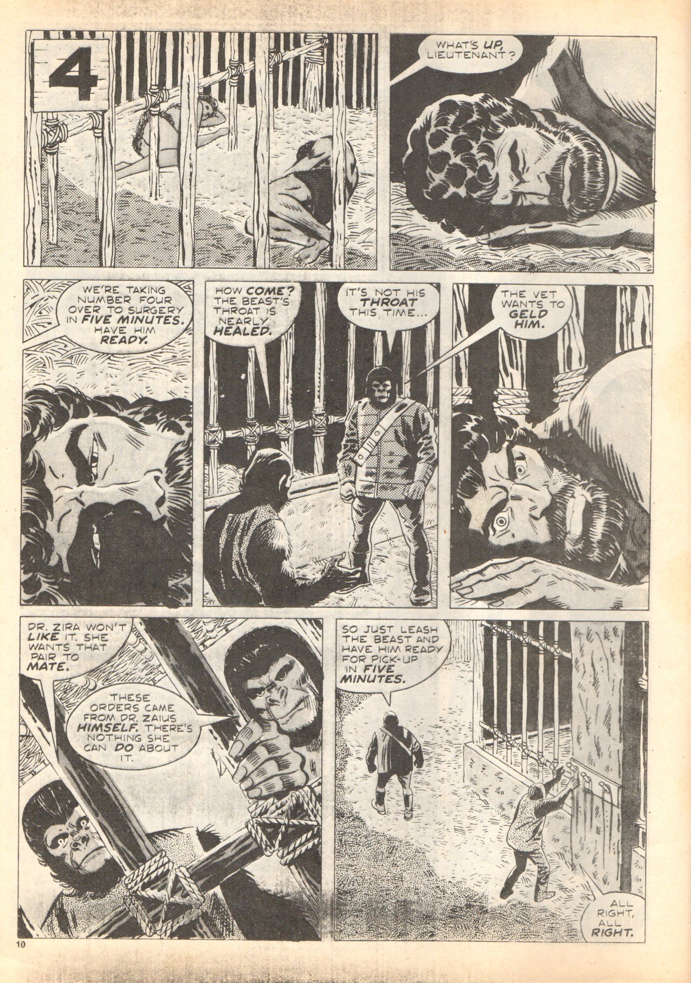 Read online Planet of the Apes (1974) comic -  Issue #4 - 10
