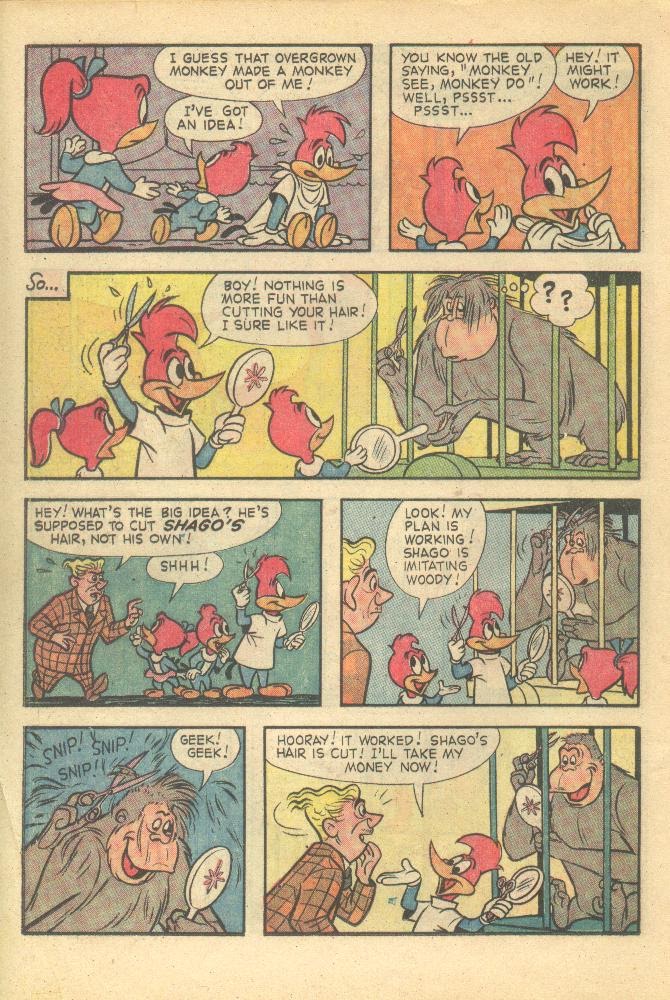 Read online Walter Lantz Woody Woodpecker (1962) comic -  Issue #78 - 16