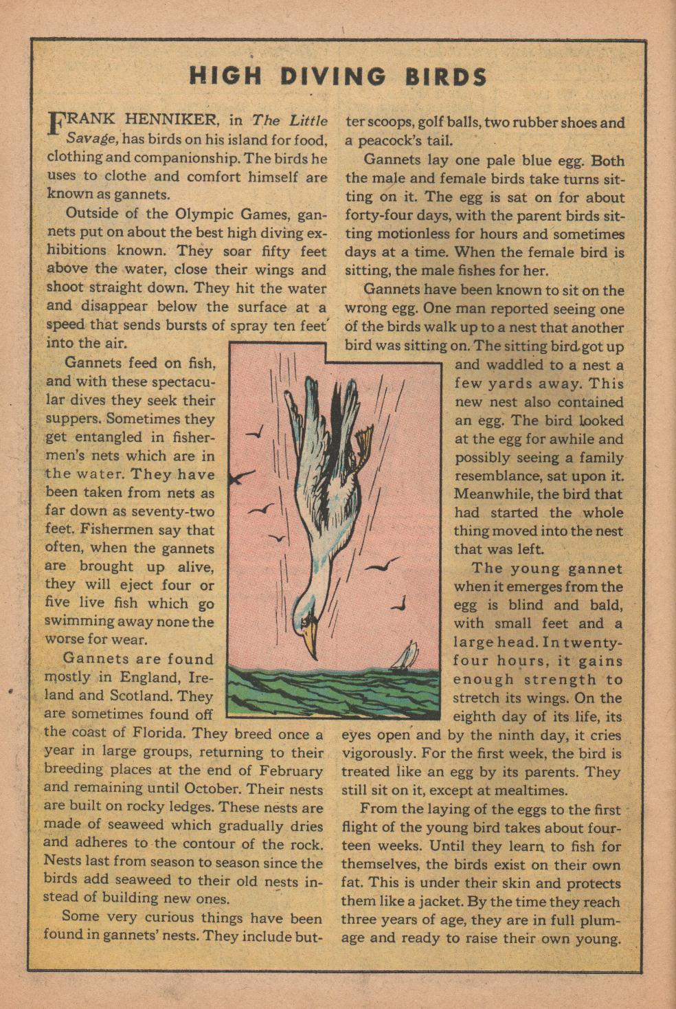 Read online Classics Illustrated comic -  Issue #137 - 50