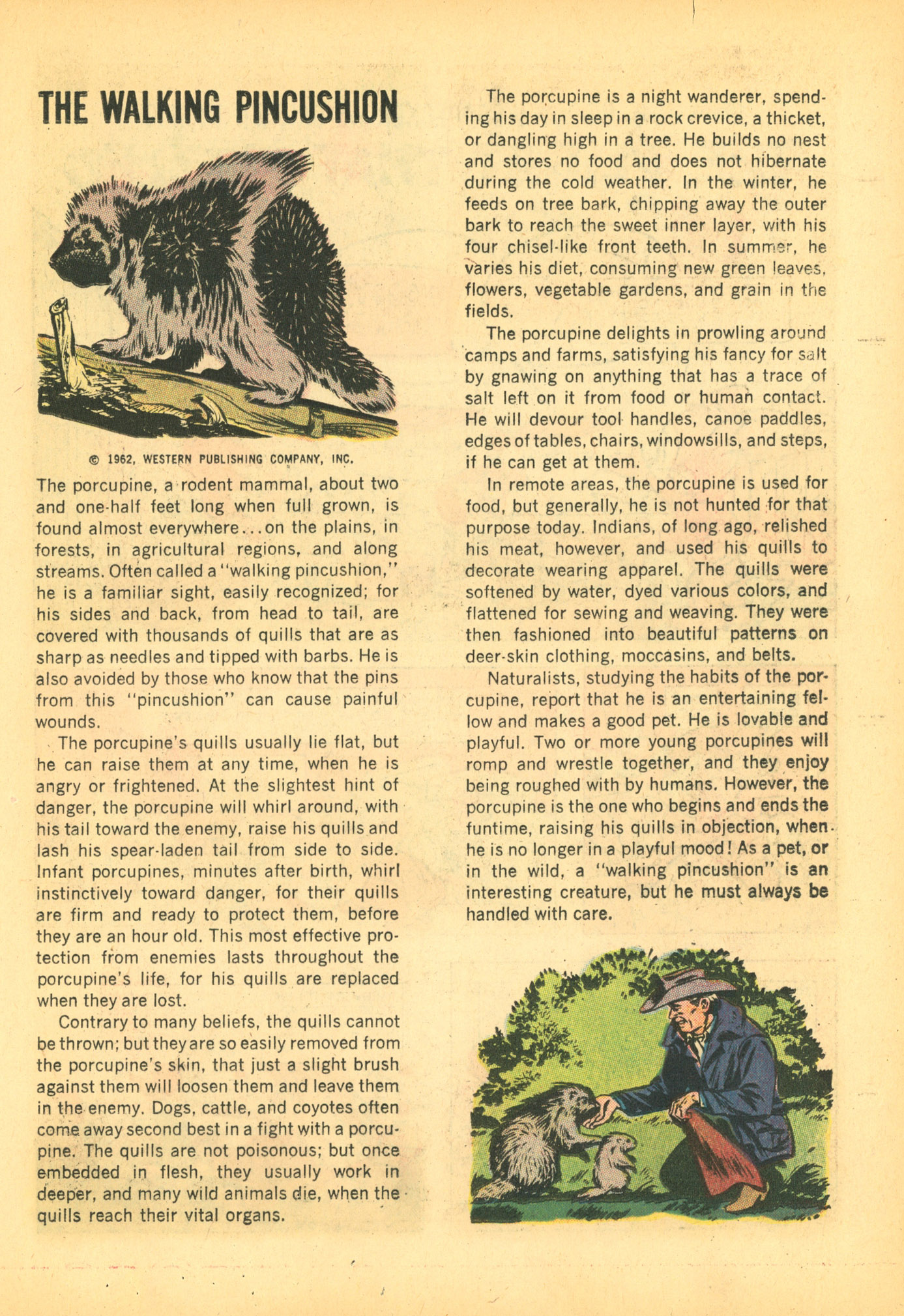 Read online Walter Lantz Woody Woodpecker (1962) comic -  Issue #75 - 39