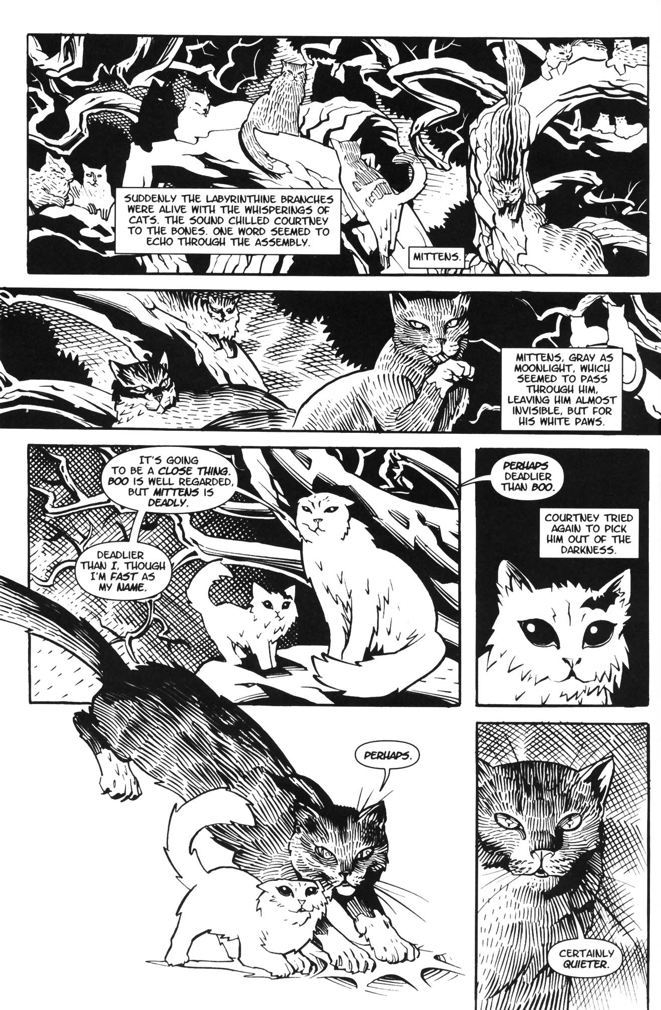 Read online Courtney Crumrin and the Coven of Mystics comic -  Issue #2 - 14