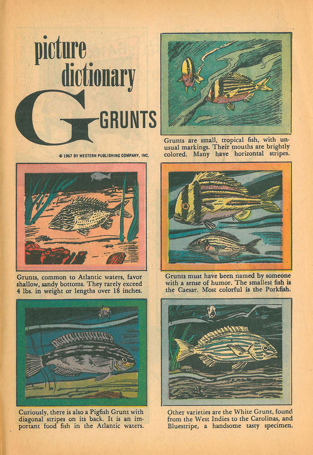 Read online Huckleberry Hound (1960) comic -  Issue #29 - 33