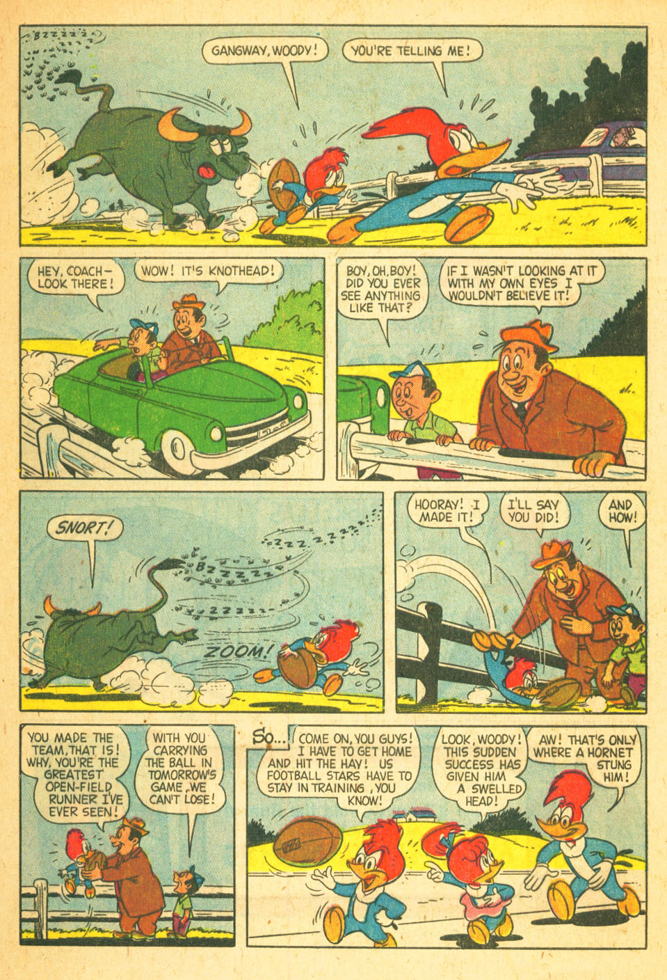 Read online Walter Lantz Woody Woodpecker (1952) comic -  Issue #51 - 33
