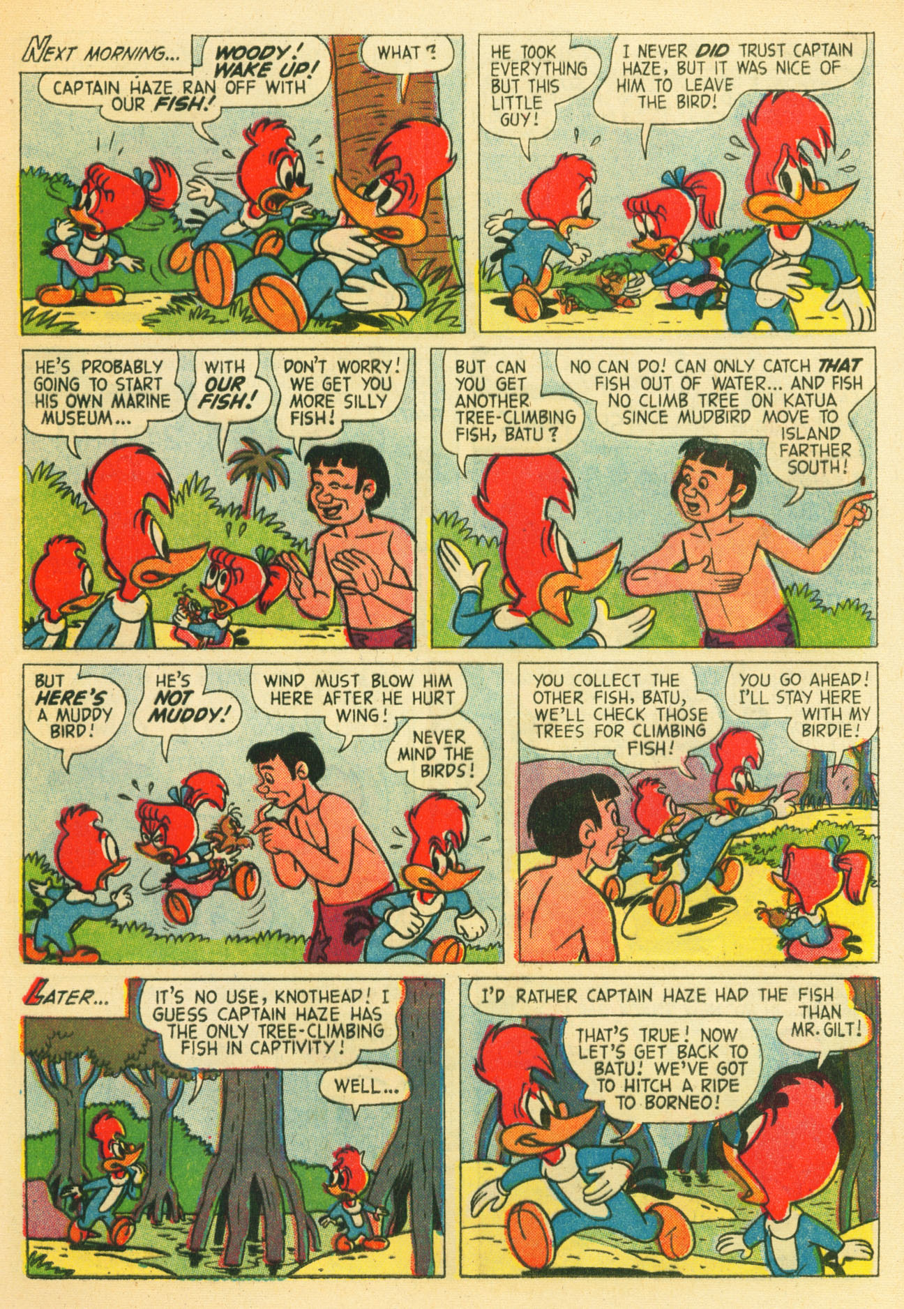 Read online Walter Lantz Woody Woodpecker (1952) comic -  Issue #57 - 13