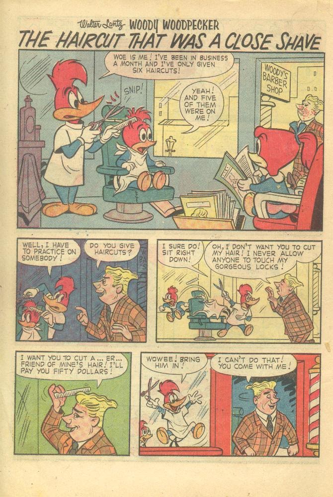Read online Walter Lantz Woody Woodpecker (1962) comic -  Issue #78 - 14
