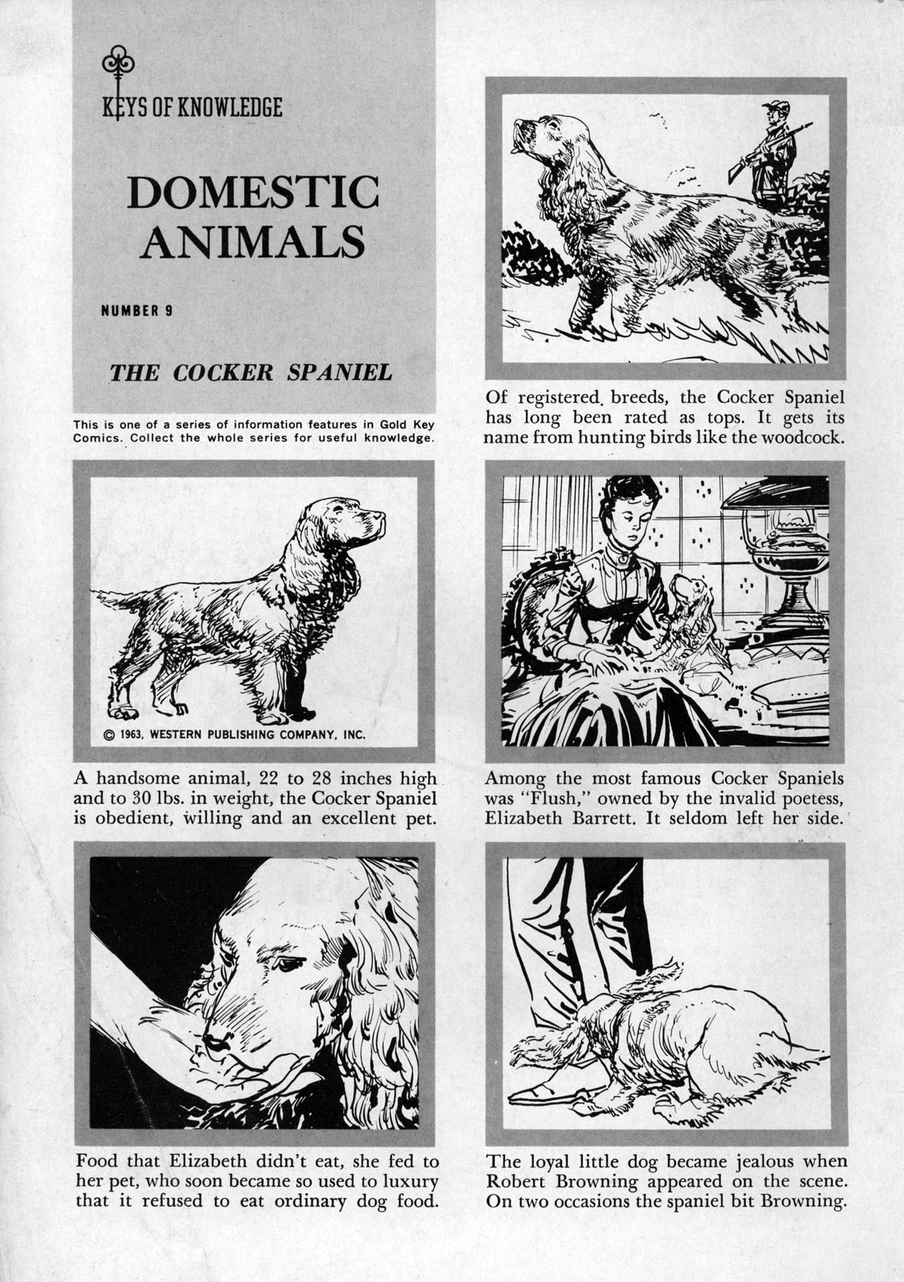 Read online Augie Doggie comic -  Issue # Full - 2