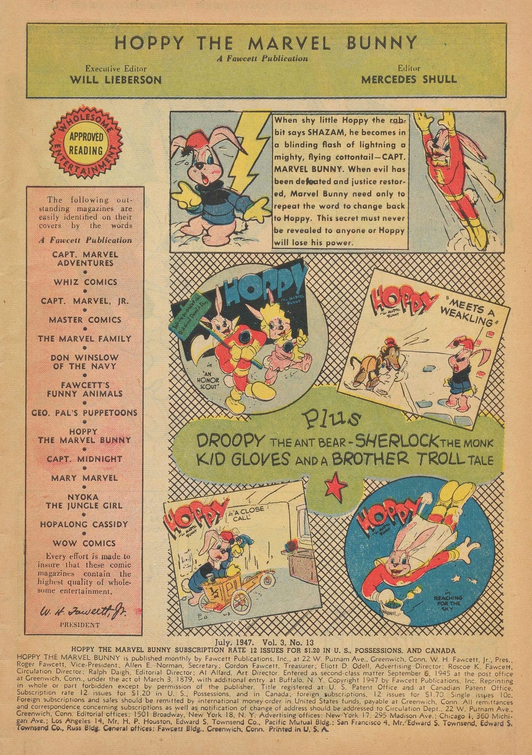 Read online Hoppy The Marvel Bunny comic -  Issue #13 - 3