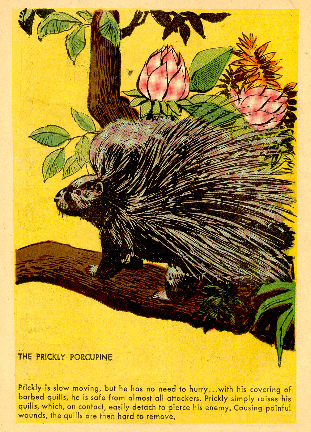 Read online Tarzan (1948) comic -  Issue #128 - 18