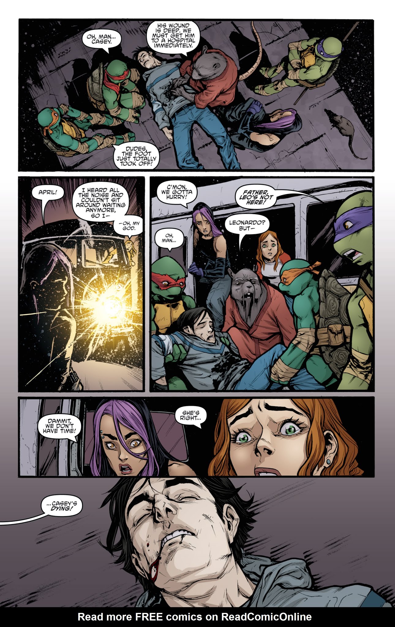 Read online Teenage Mutant Ninja Turtles: The IDW Collection comic -  Issue # TPB 3 (Part 2) - 15