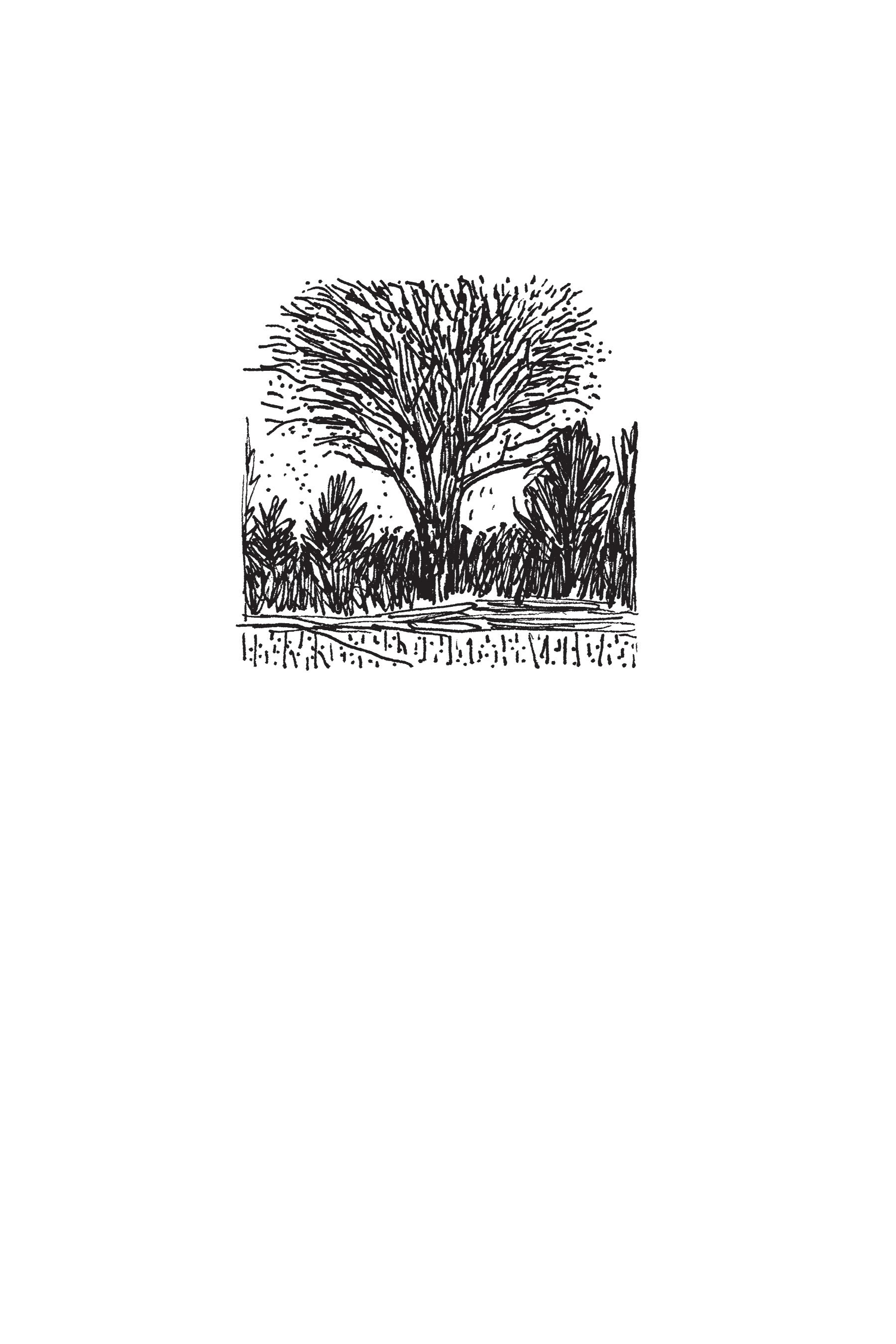 Read online Map of My Heart comic -  Issue # TPB (Part 3) - 54