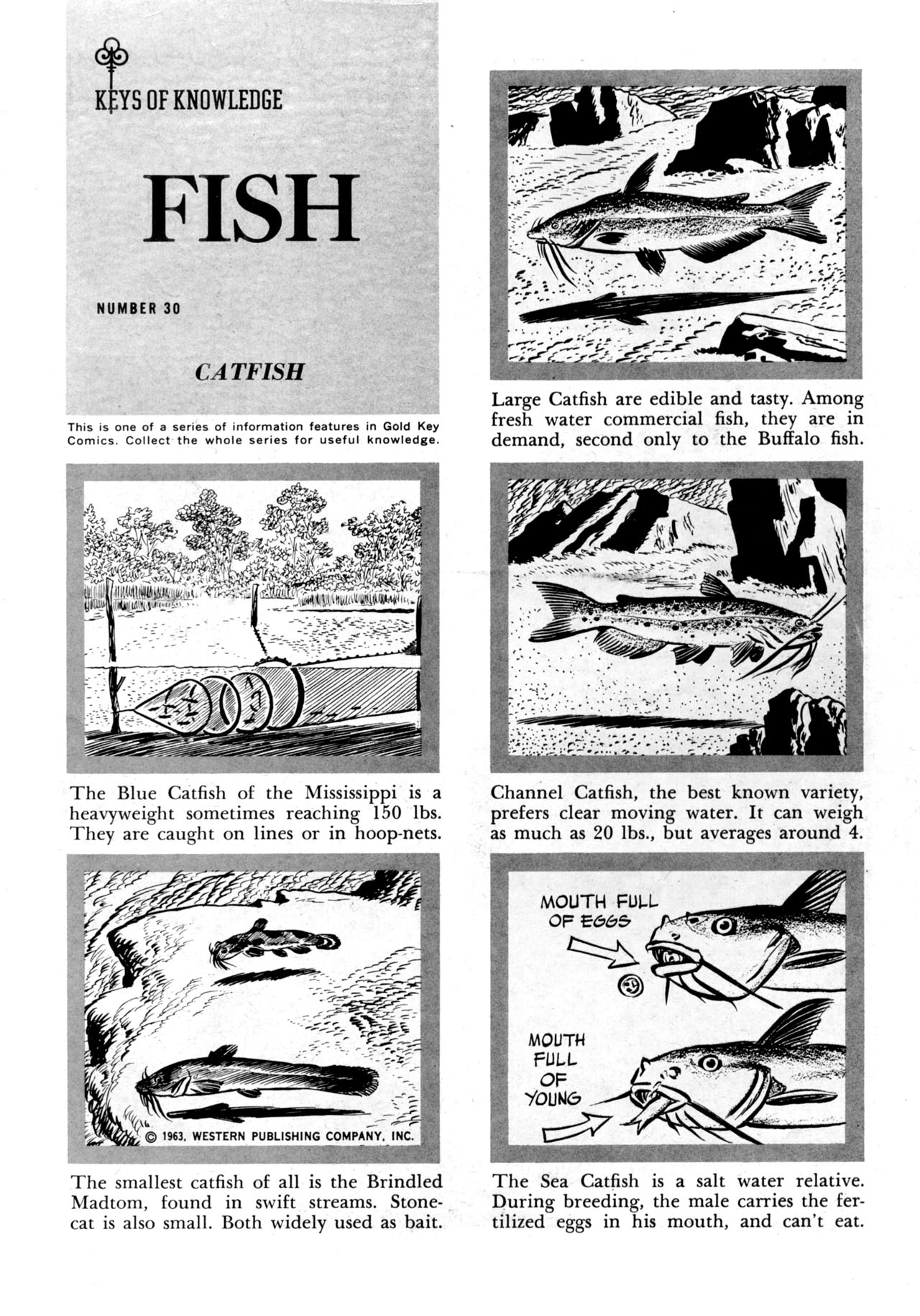 Read online Top Cat (1962) comic -  Issue #8 - 35
