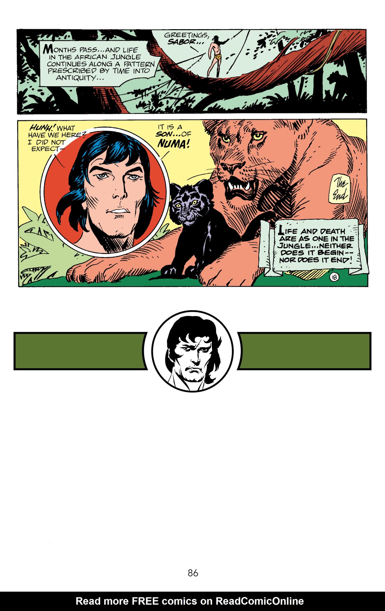 Read online Edgar Rice Burroughs' Tarzan The Joe Kubert Years comic -  Issue # TPB 2 (Part 1) - 86