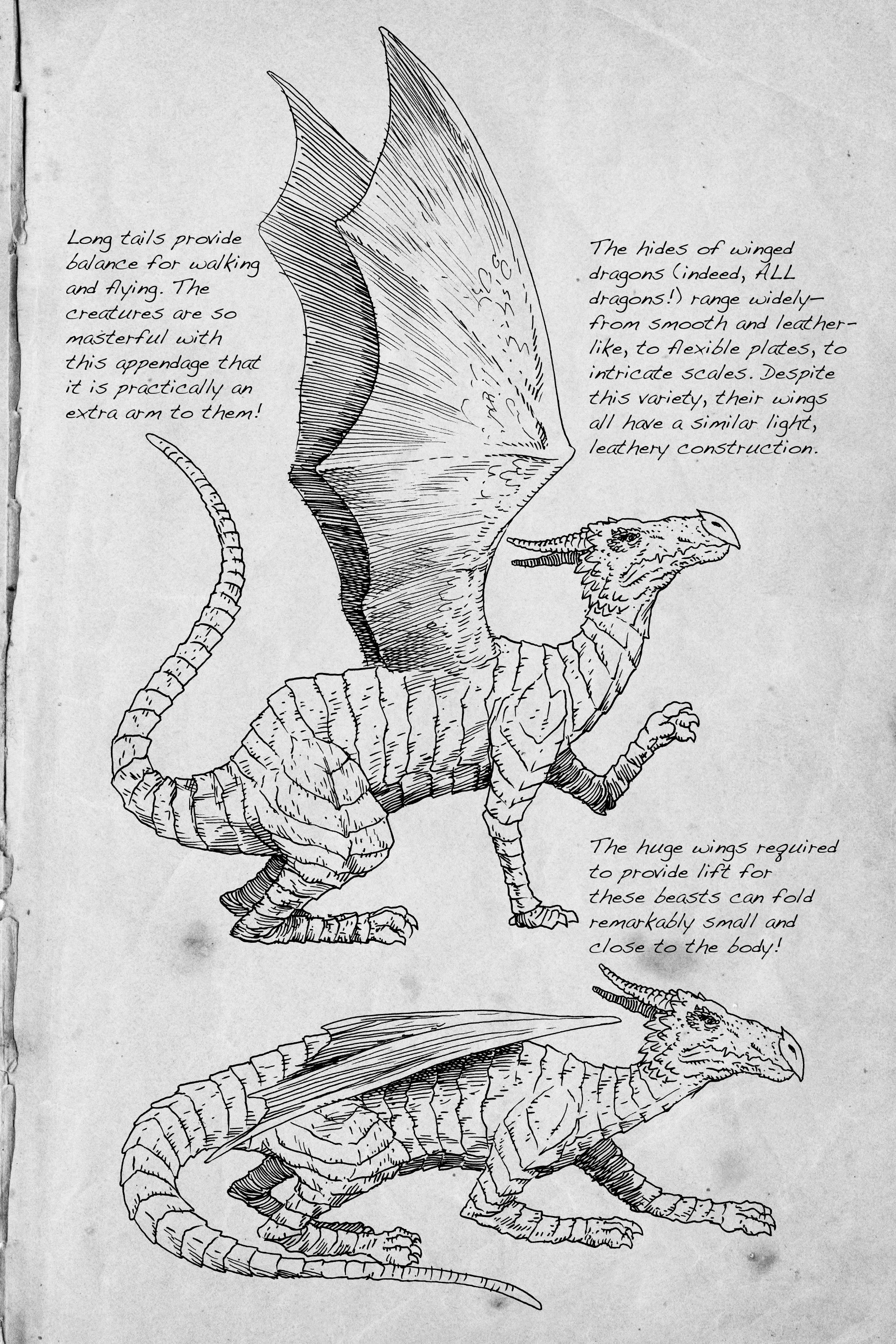 Read online Dragon Girl: The Secret Valley comic -  Issue # TPB (Part 2) - 76