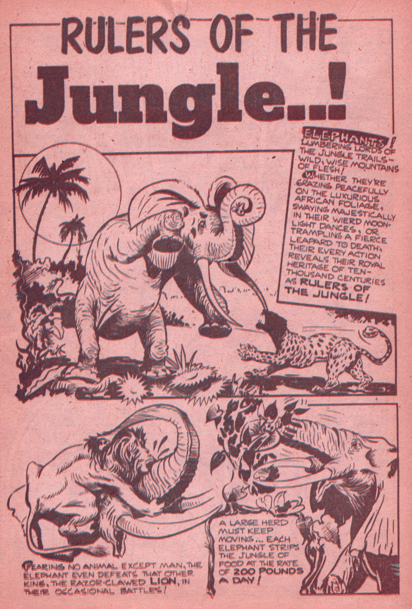 Read online Jungle Thrills 3-D comic -  Issue # Full - 22