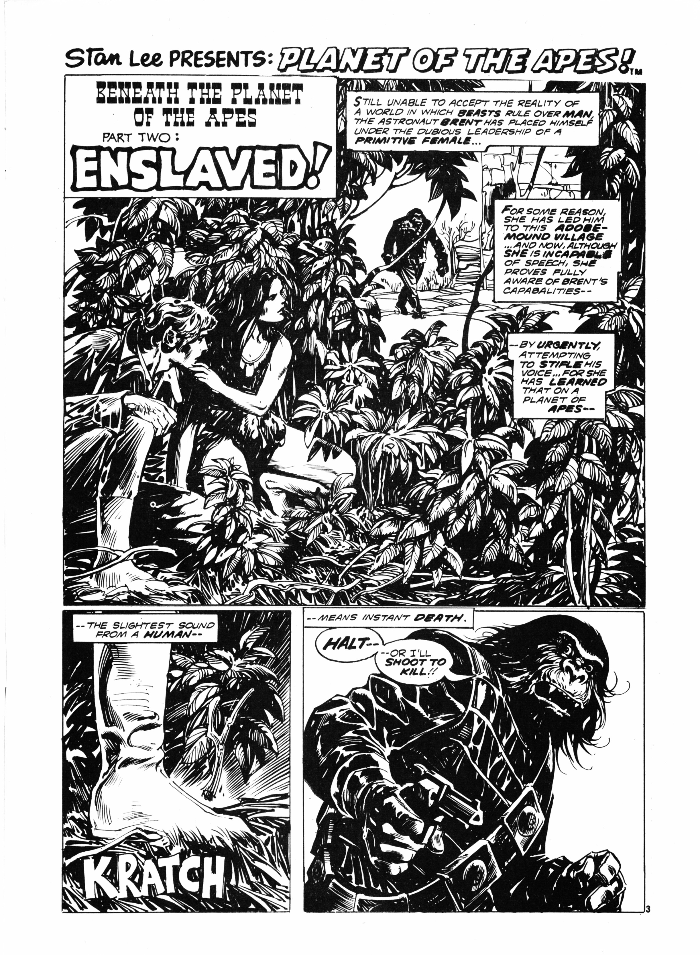 Read online Planet of the Apes (1974) comic -  Issue #37 - 3