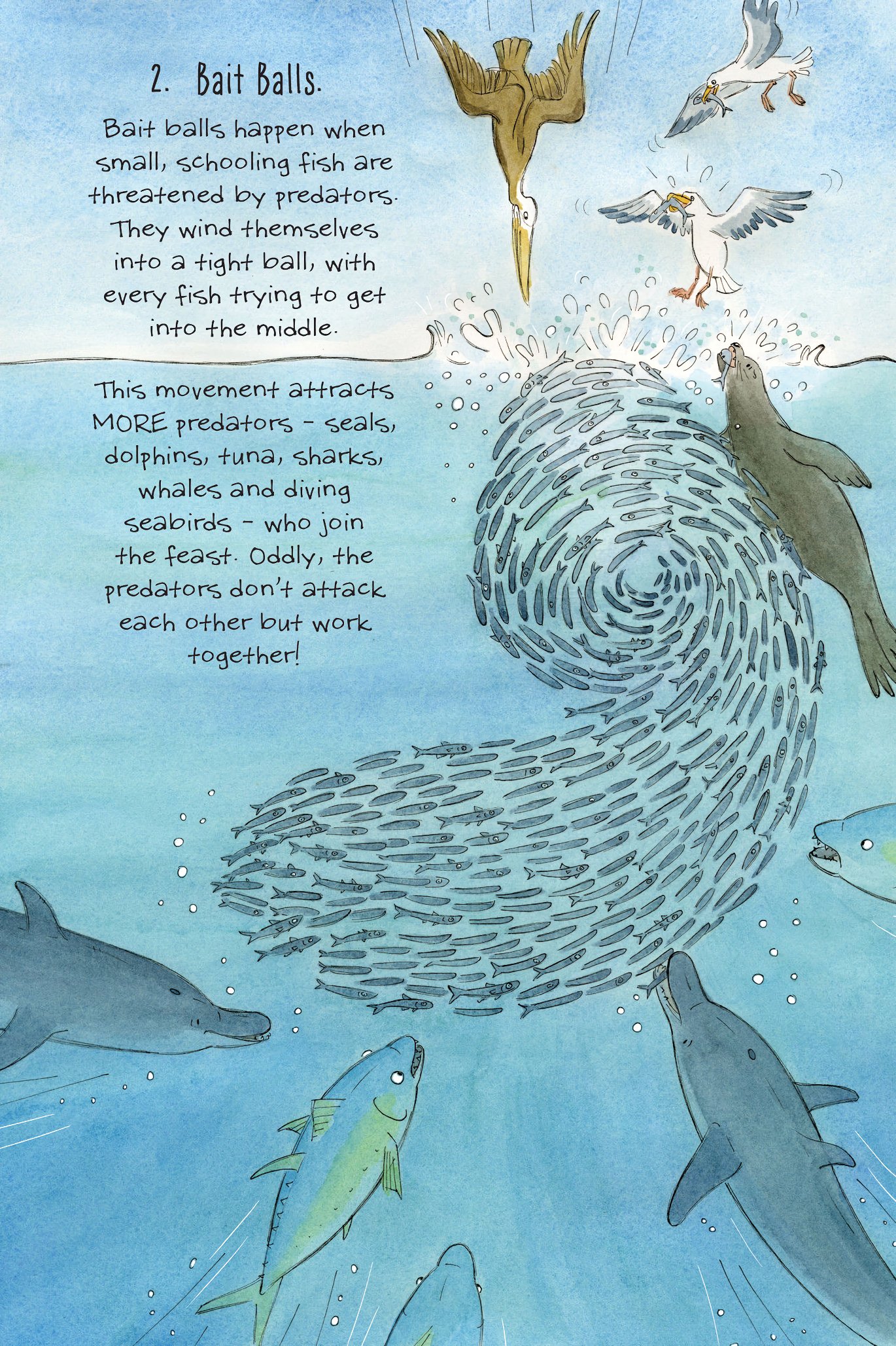 Read online The Science of Surfing: A Surfside Girls Guide to the Ocean comic -  Issue # TPB - 77