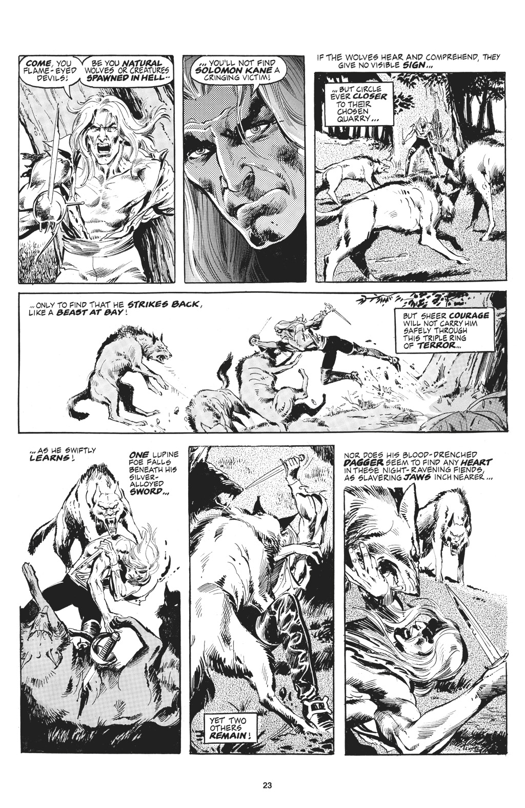 Read online The Saga of Solomon Kane comic -  Issue # TPB - 23