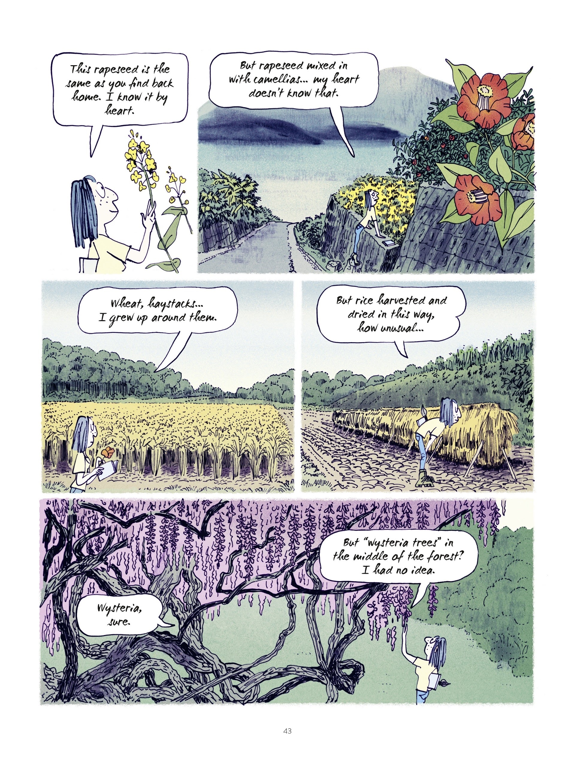 Read online The Young Woman and the Sea comic -  Issue # TPB - 43