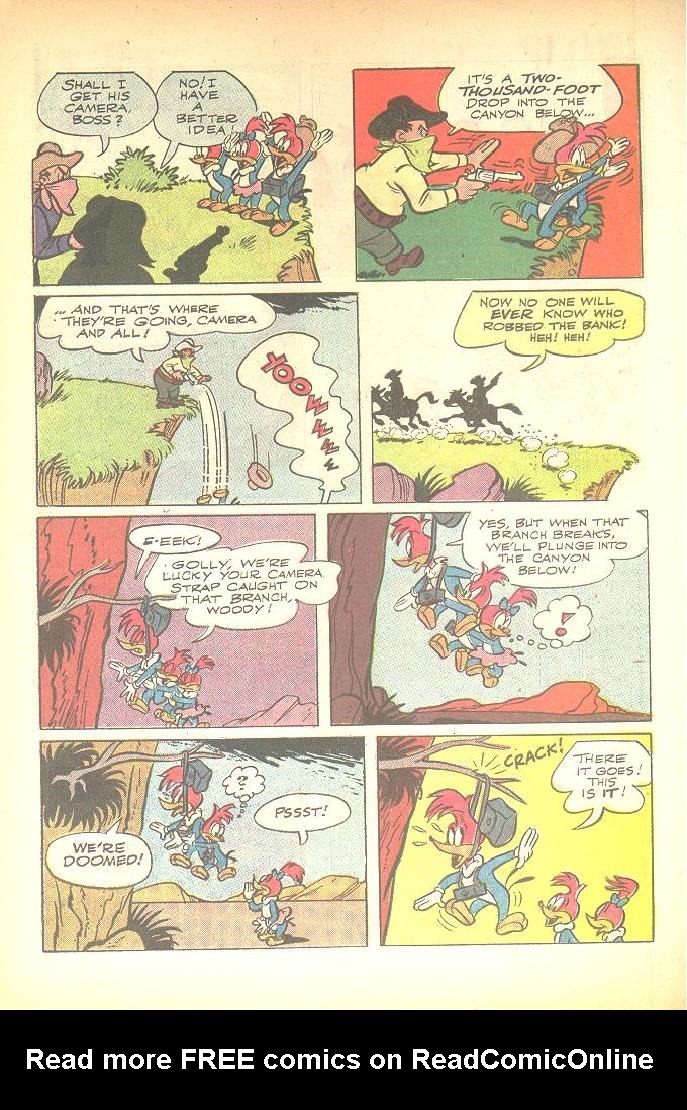 Read online Walter Lantz Woody Woodpecker (1962) comic -  Issue #86 - 7
