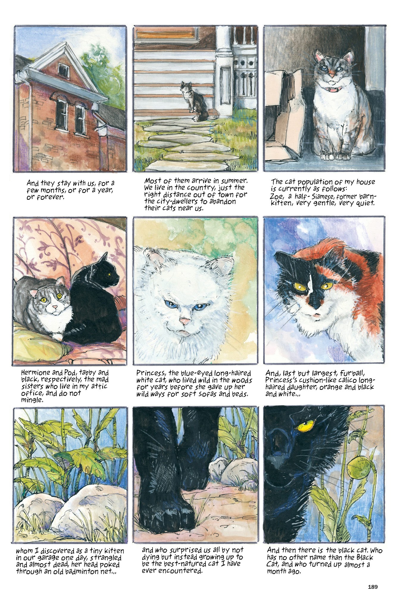 Read online The Neil Gaiman Library comic -  Issue # TPB 3 (Part 2) - 91