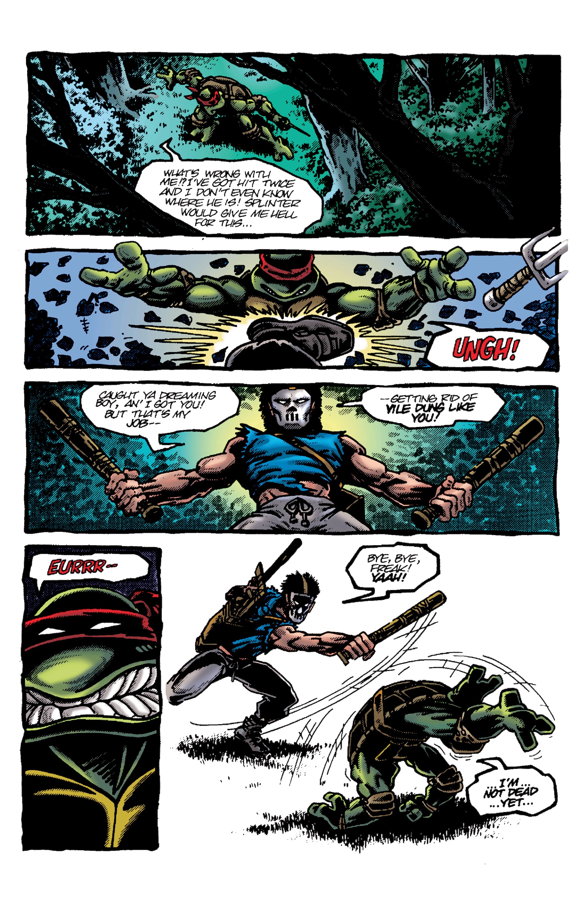 Read online Teenage Mutant Ninja Turtles: Best Of comic -  Issue # Raphael - 23