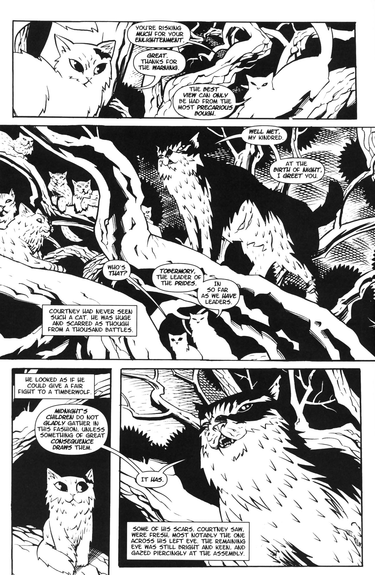 Read online Courtney Crumrin and the Coven of Mystics comic -  Issue #2 - 12