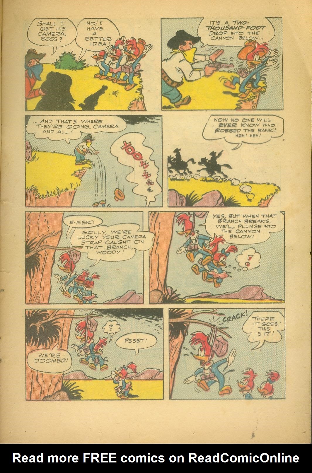 Read online Walter Lantz Woody Woodpecker (1952) comic -  Issue #29 - 13