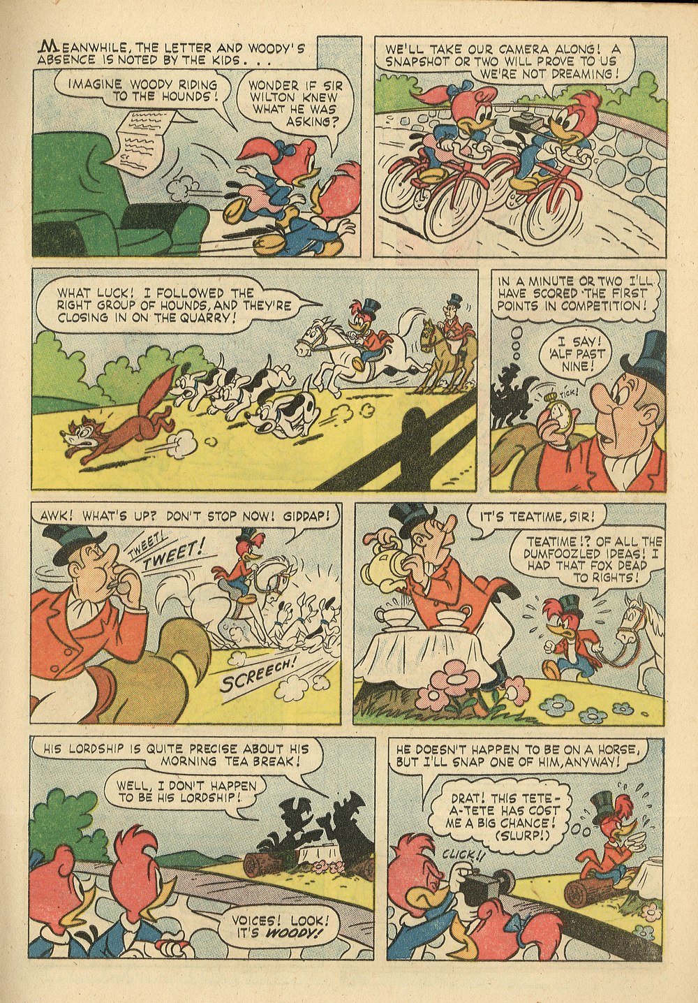 Read online Walter Lantz Woody Woodpecker (1952) comic -  Issue #69 - 9